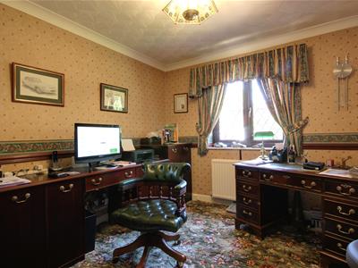 Picture 21